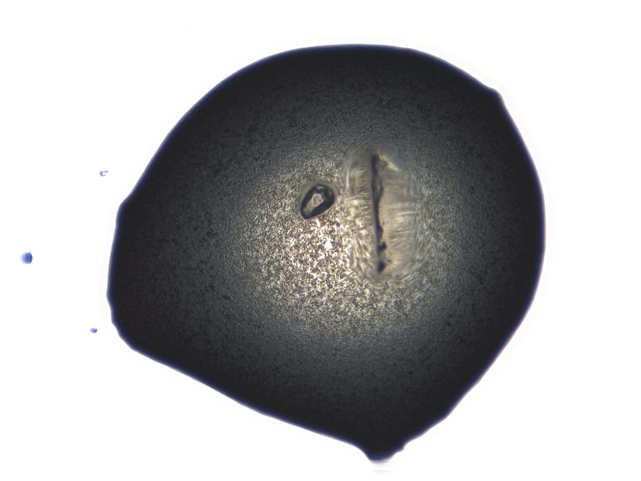 04ey_C7_ImagerDefaults_3.jpg