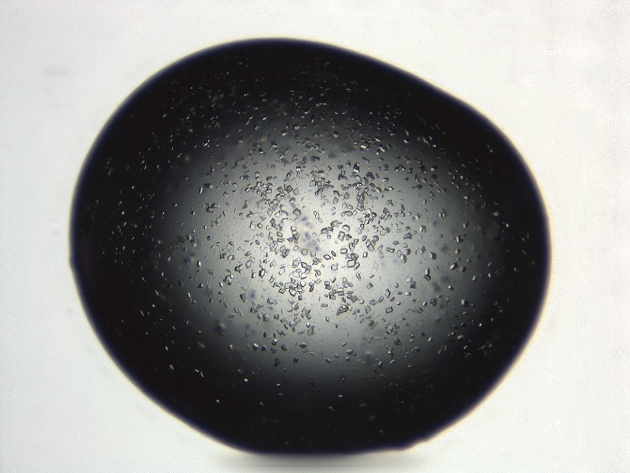 04ey_C8_ImagerDefaults_8.jpg