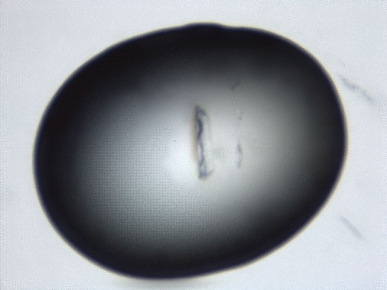 04ey_C1_ImagerDefaults_0.jpg