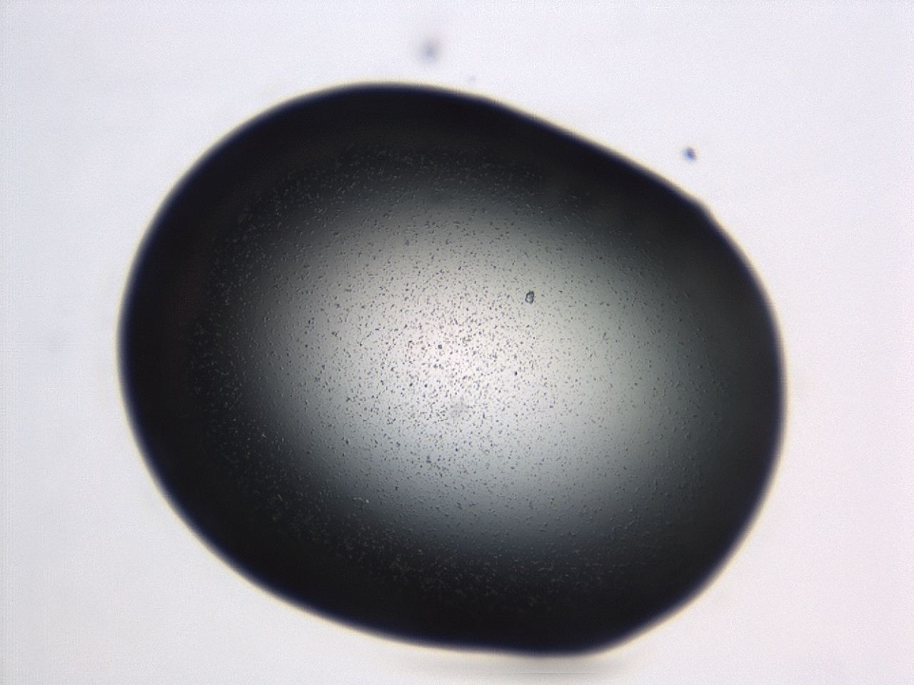 04ey_C10_ImagerDefaults_3.jpg