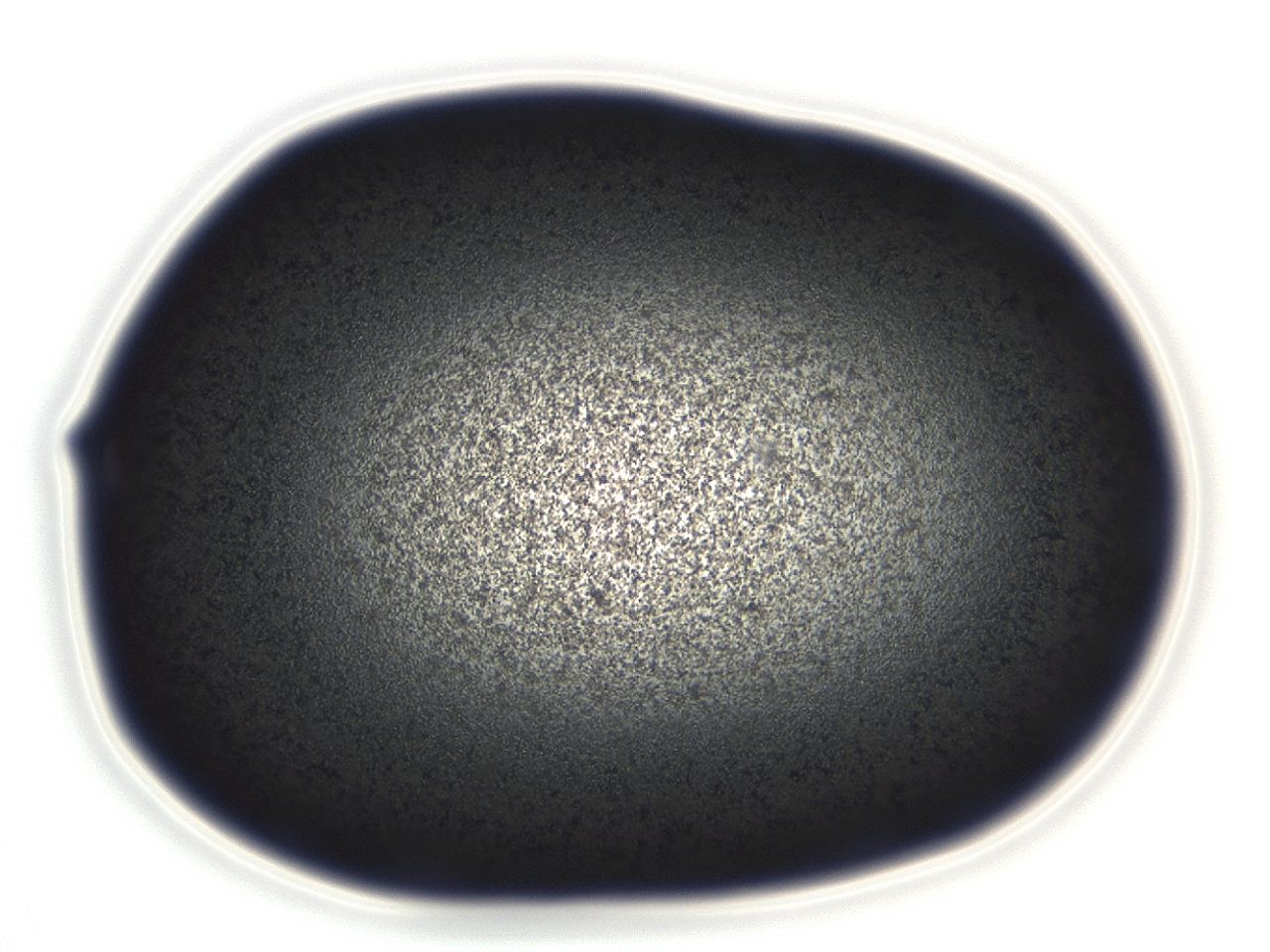 04ey_C11_ImagerDefaults_3.jpg