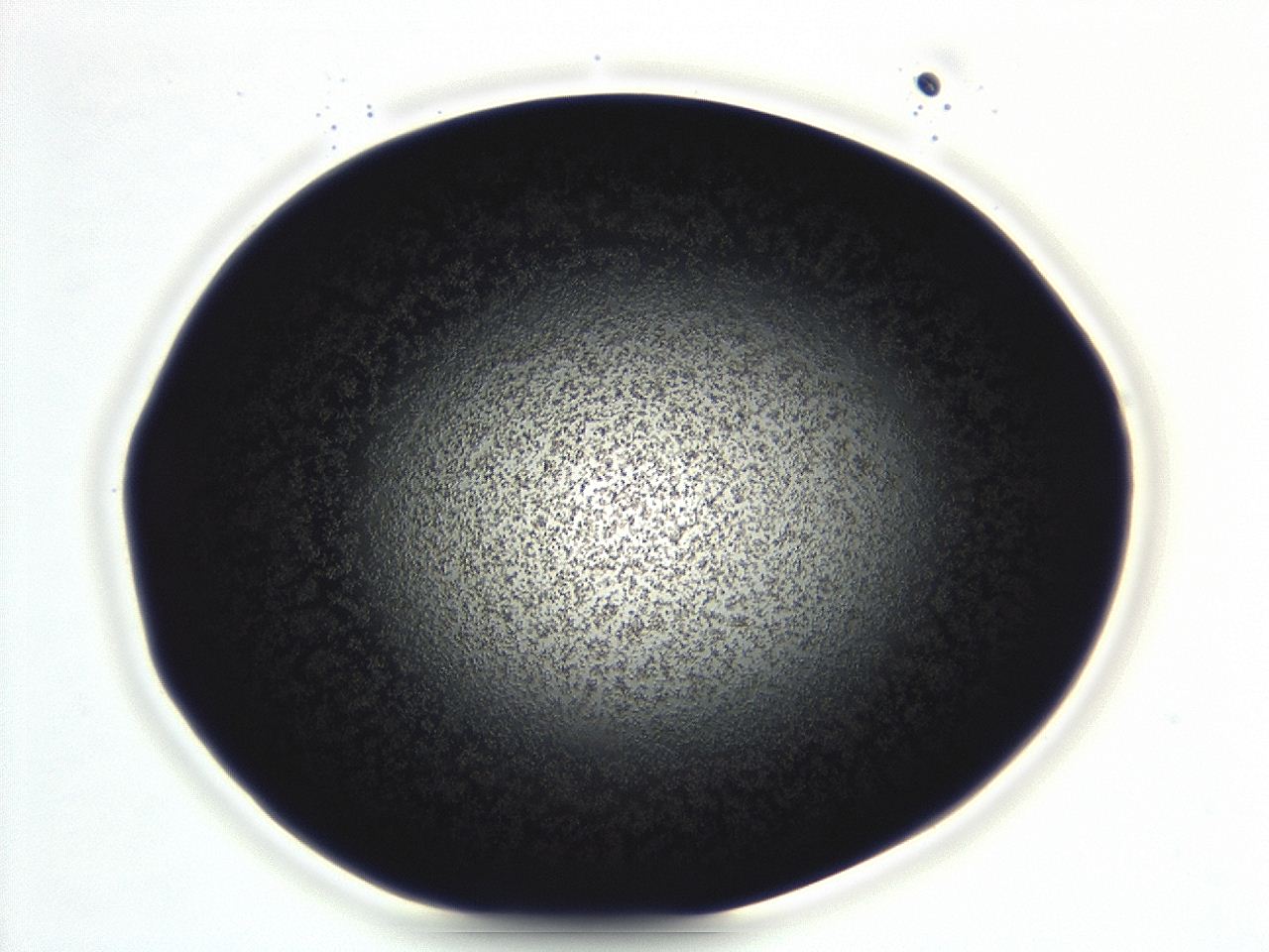 04ey_D5_ImagerDefaults_3.jpg