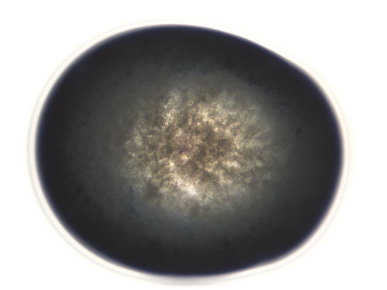 04ey_E11_ImagerDefaults_3.jpg