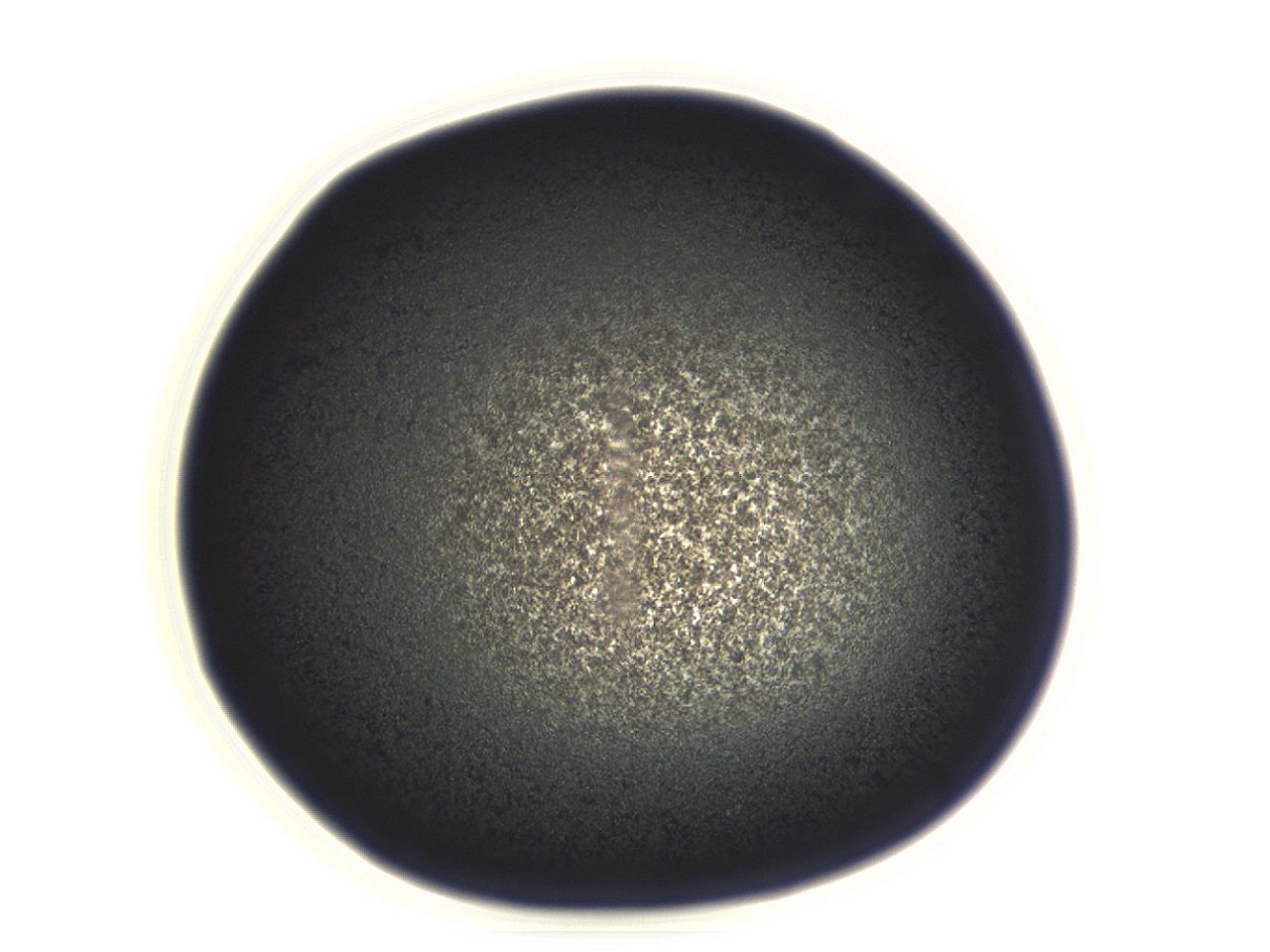 04ey_F1_ImagerDefaults_3.jpg