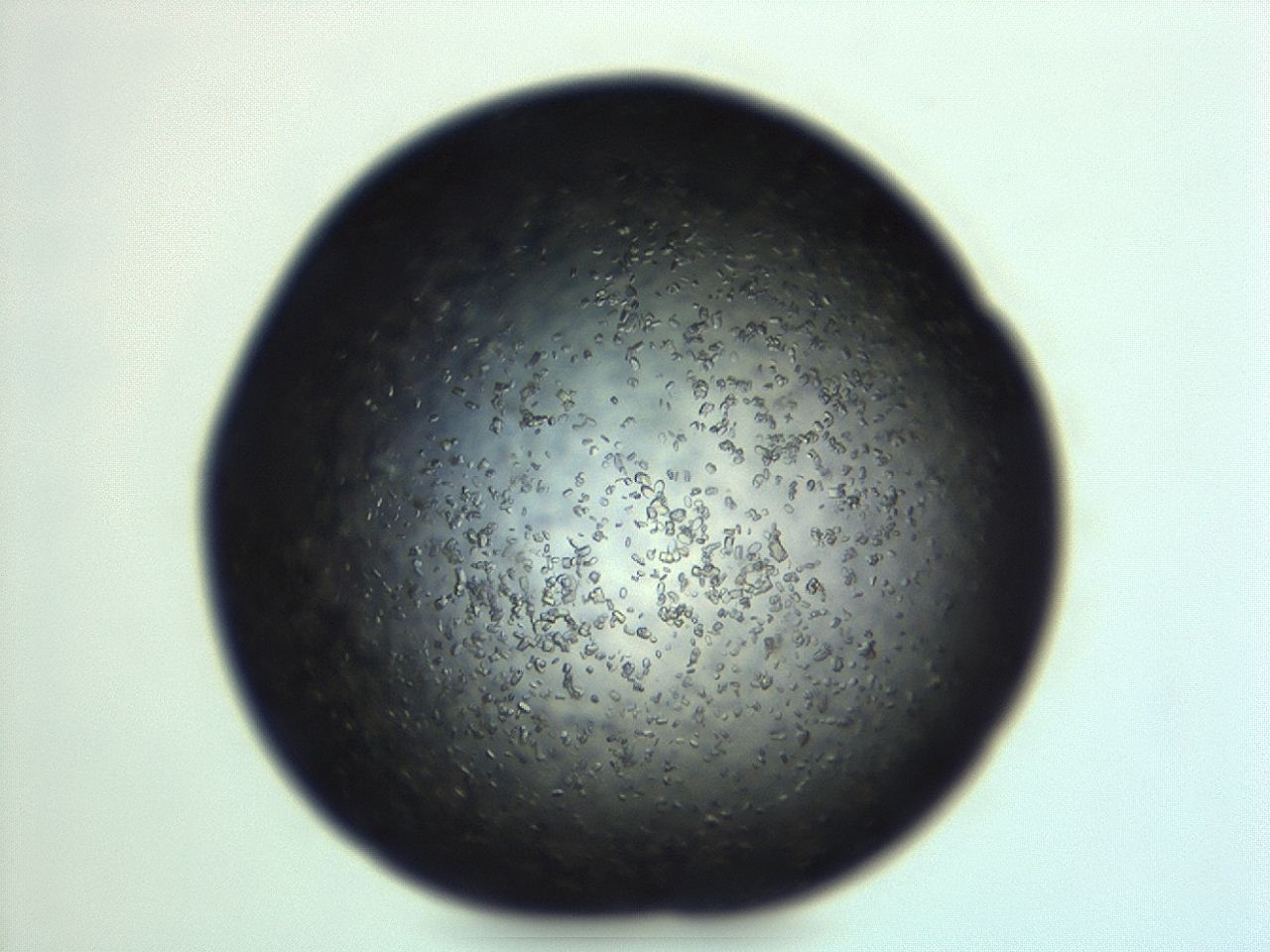 04ey_F2_ImagerDefaults_8.jpg