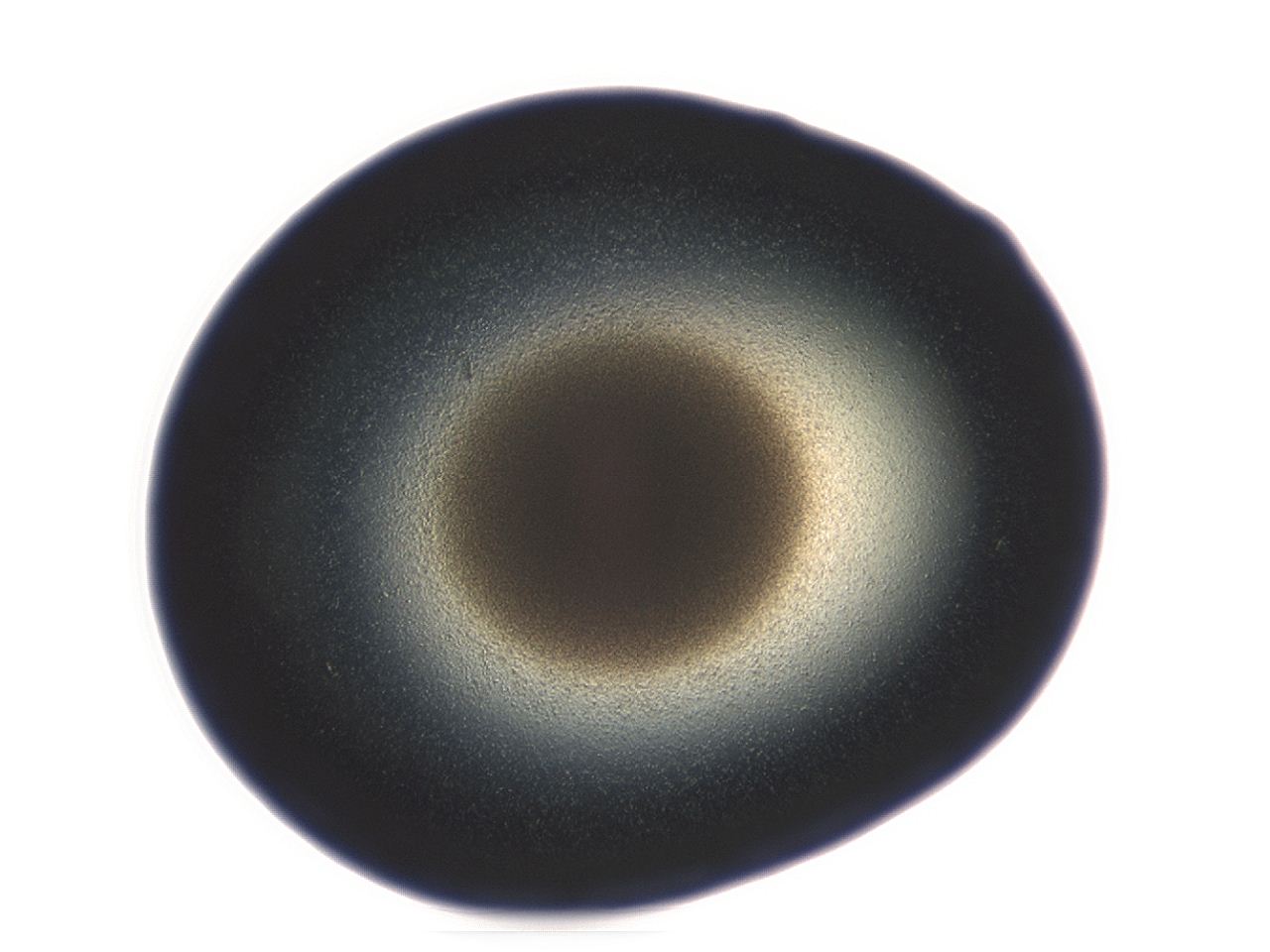 04ey_F4_ImagerDefaults_3.jpg