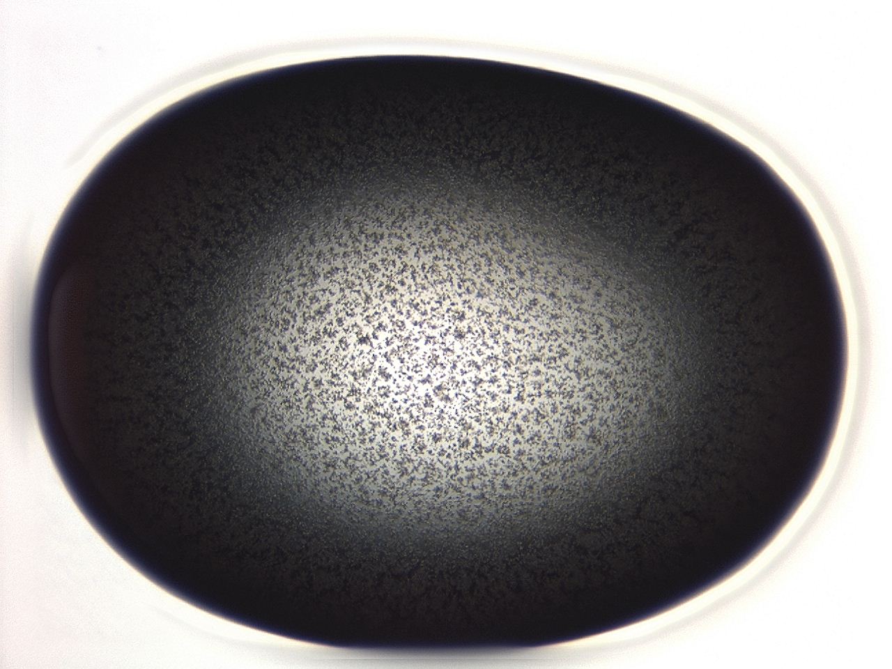 04ey_A3_ImagerDefaults_3.jpg