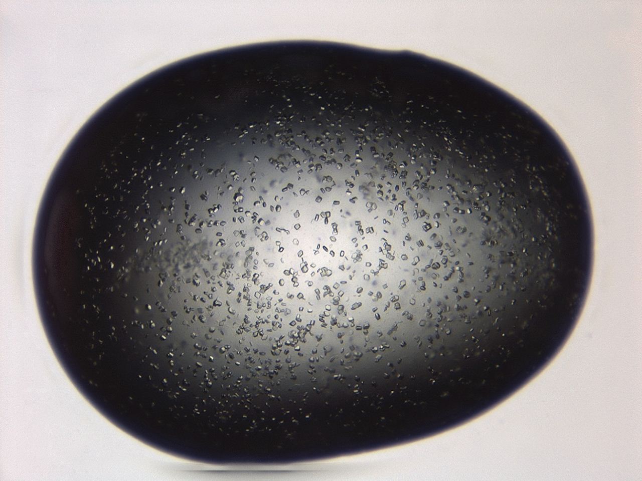 04ey_A4_ImagerDefaults_8.jpg