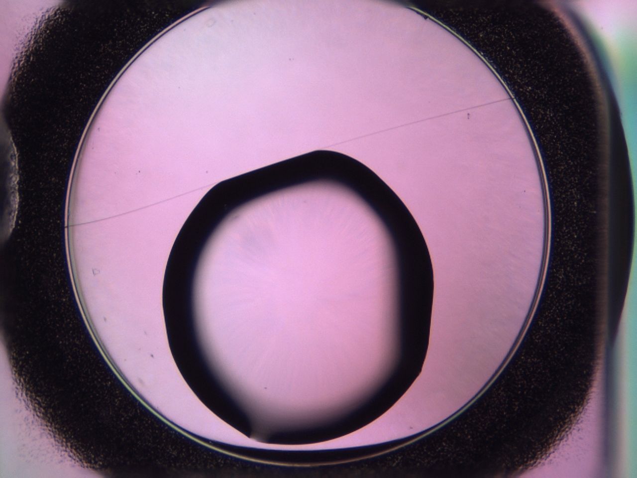 0172_D1_ImagerDefaults_0.jpg