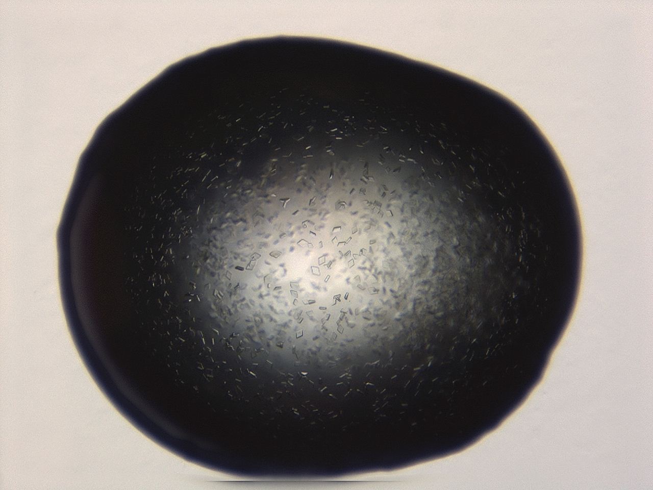 04ey_A6_ImagerDefaults_8.jpg