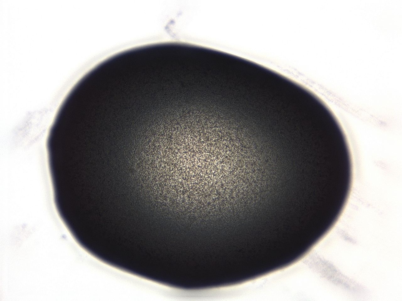 04ey_A8_ImagerDefaults_3.jpg