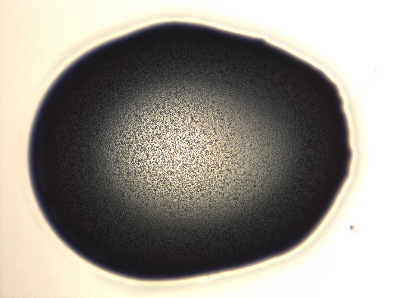 04ey_A11_ImagerDefaults_3.jpg