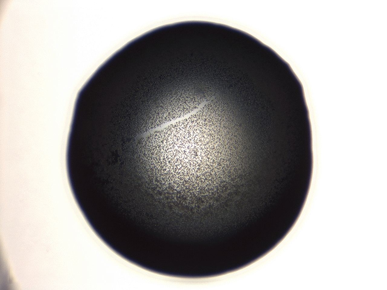04ey_A12_ImagerDefaults_3.jpg