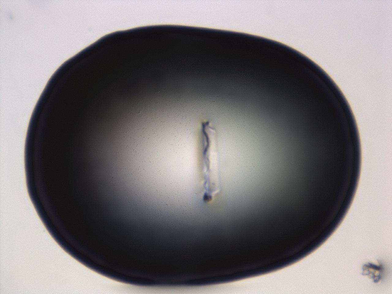 04ey_B1_ImagerDefaults_0.jpg