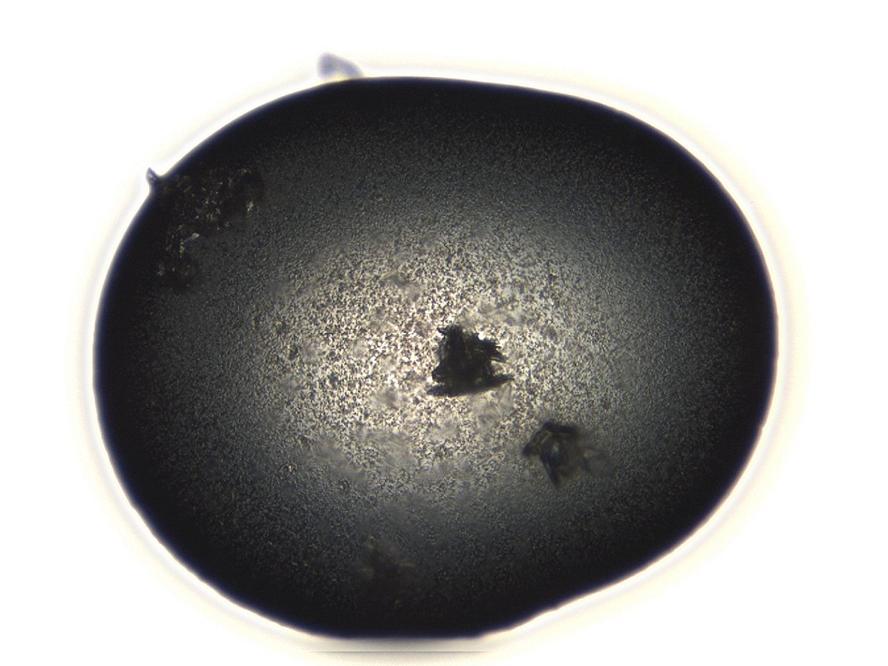 04ey_B2_ImagerDefaults_3.jpg