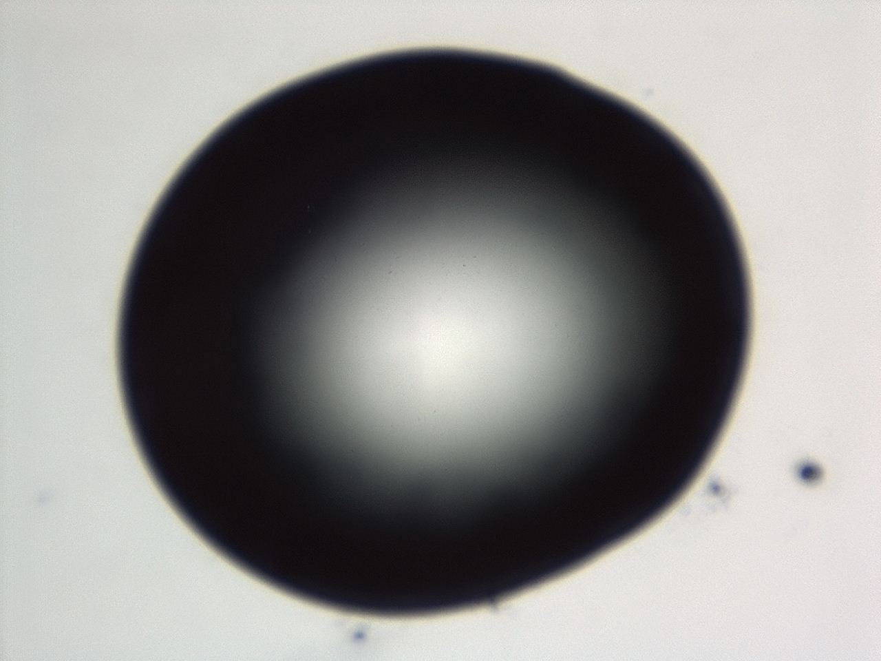 04ey_E3_ImagerDefaults_0.jpg