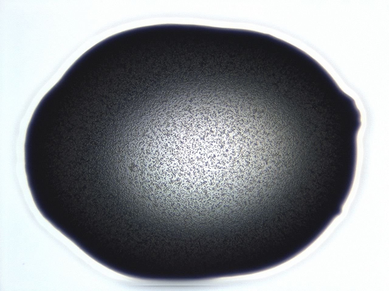 04ey_E6_ImagerDefaults_3.jpg