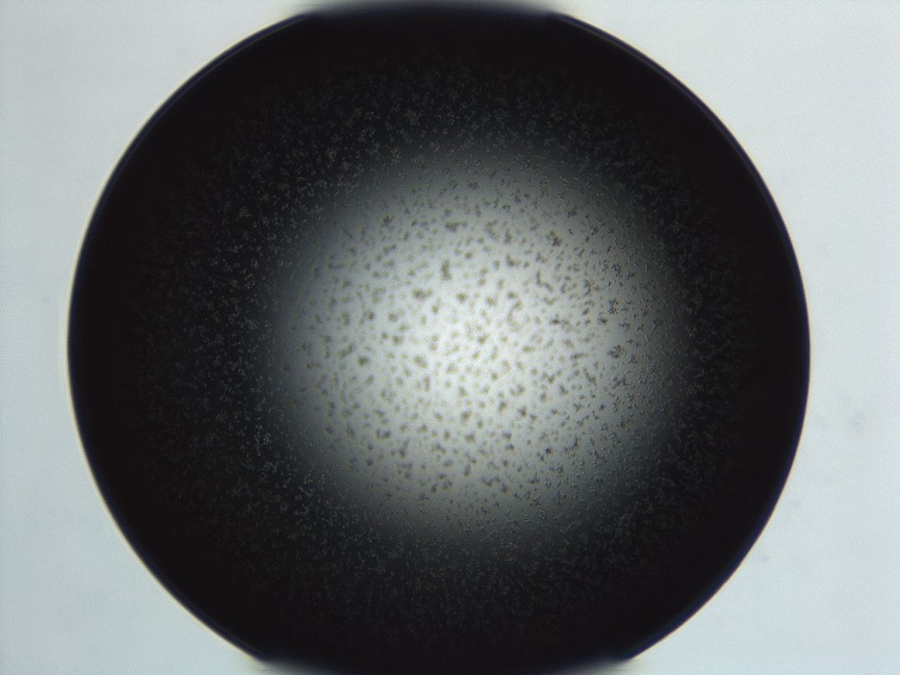 04ey_F10_ImagerDefaults_3.jpg