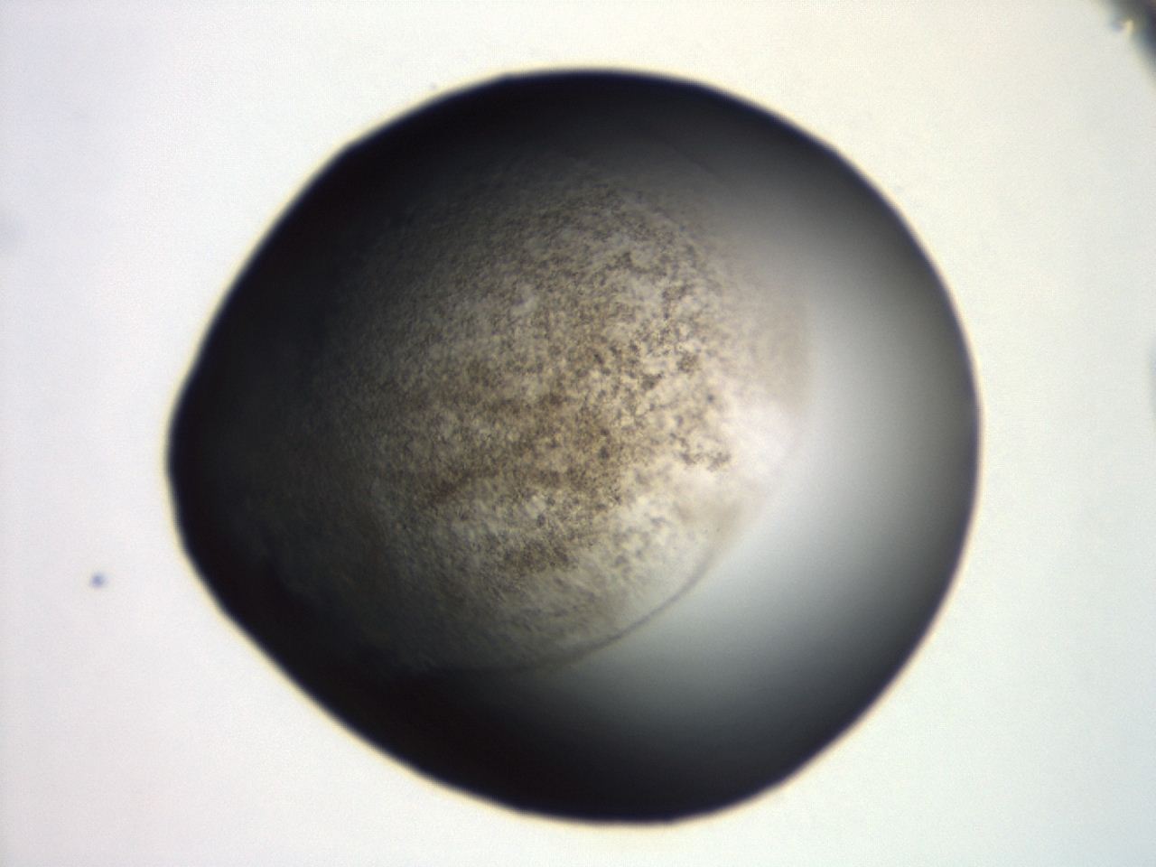 04ey_F12_ImagerDefaults_3.jpg