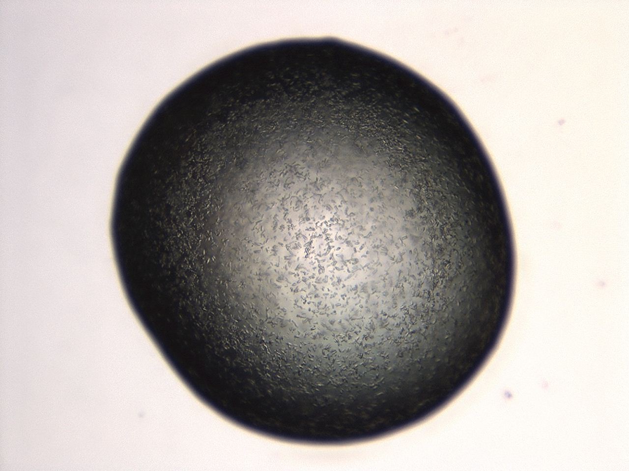 04ey_G4_ImagerDefaults_8.jpg