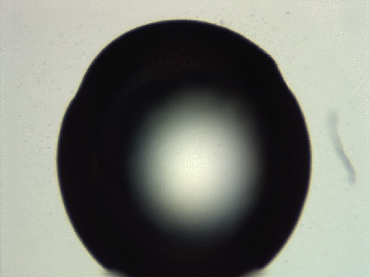 04ey_G6_ImagerDefaults_0.jpg