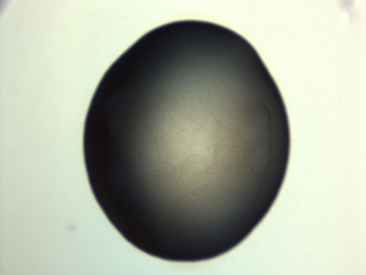 04ey_G11_ImagerDefaults_3.jpg