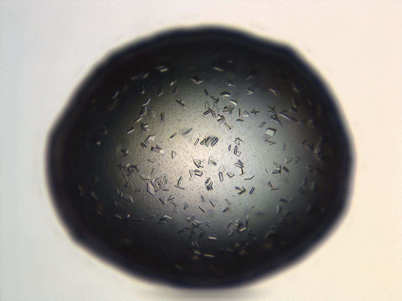 04ey_G12_ImagerDefaults_8.jpg
