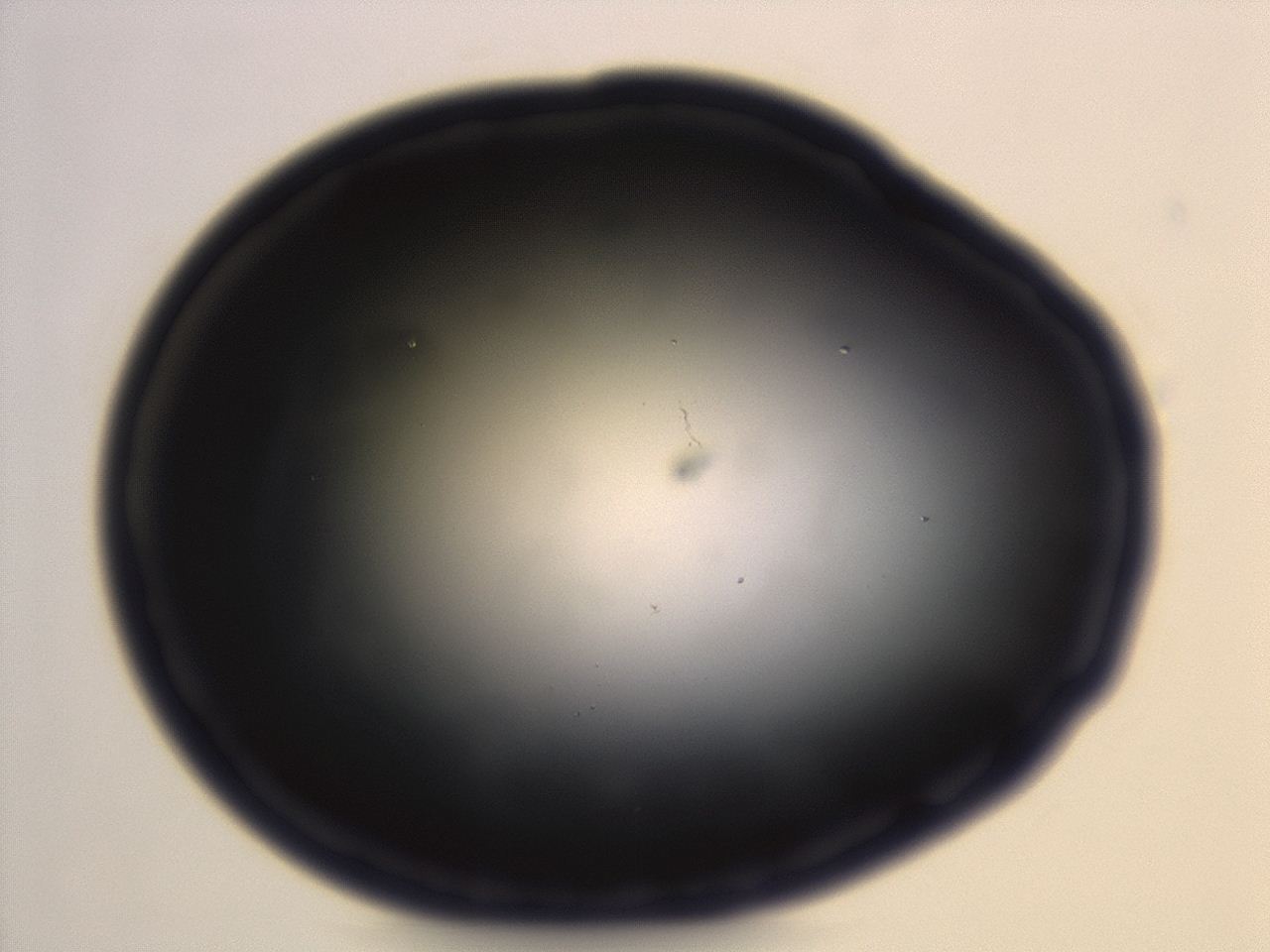 04ey_H6_ImagerDefaults_0.jpg