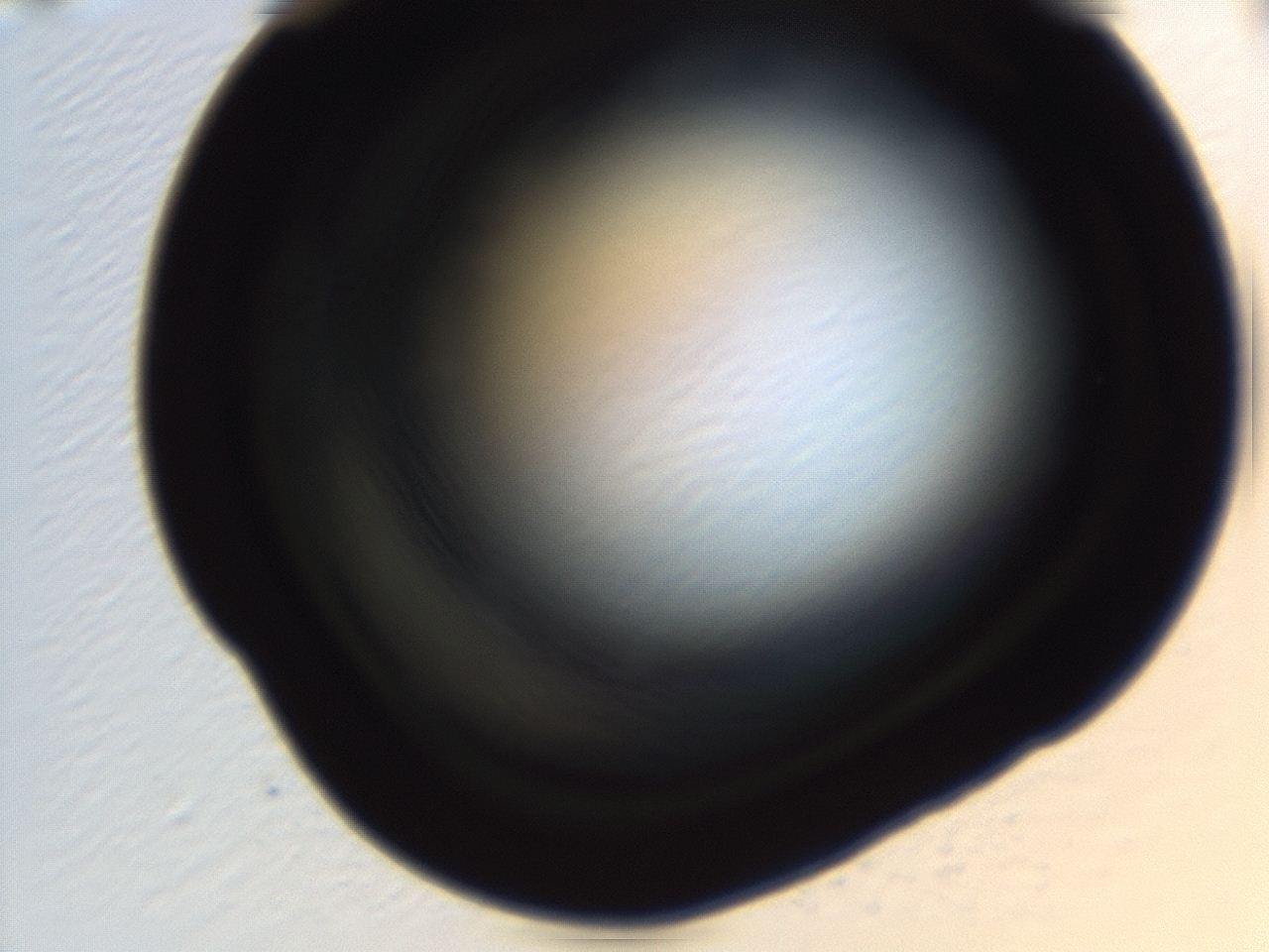 04ey_H8_ImagerDefaults_0.jpg