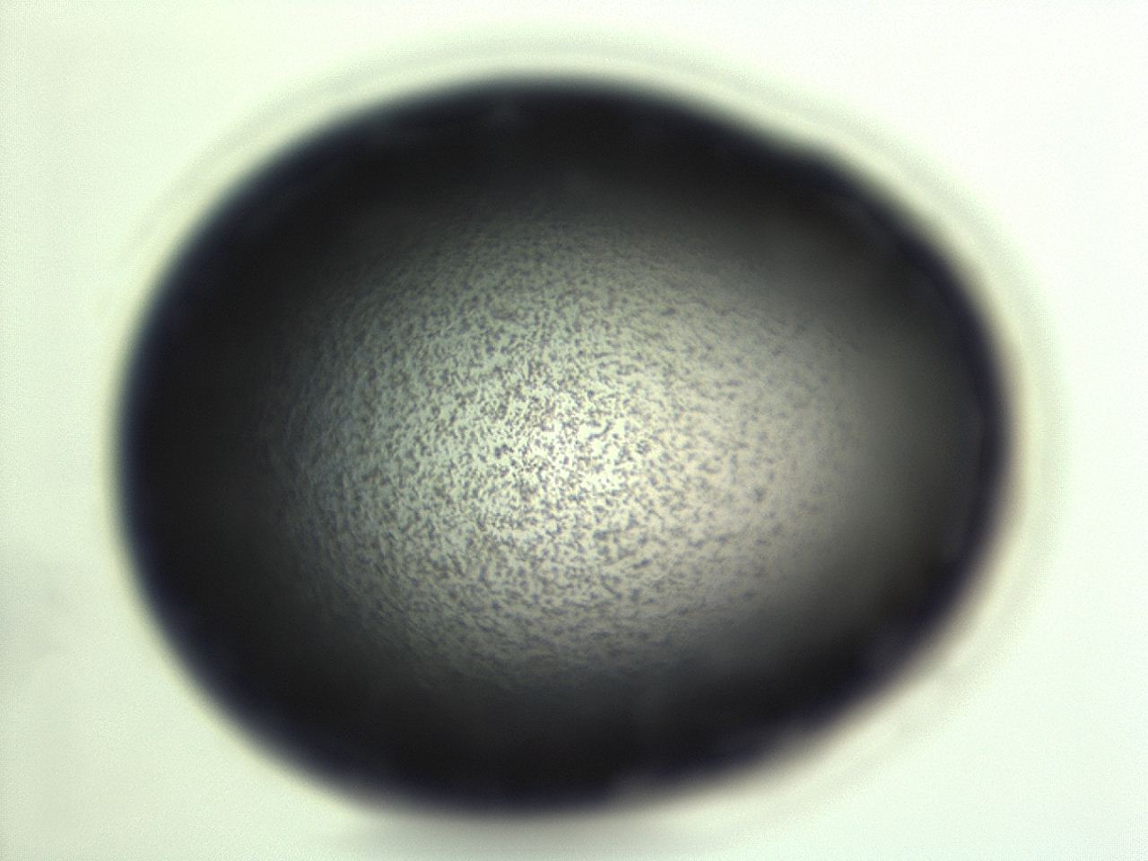 04ey_H11_ImagerDefaults_3.jpg