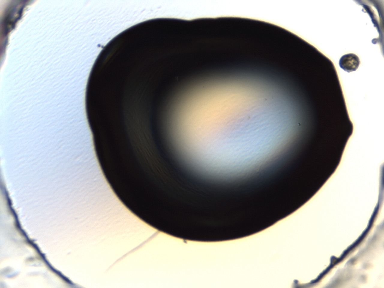 04ey_H12_ImagerDefaults_0.jpg