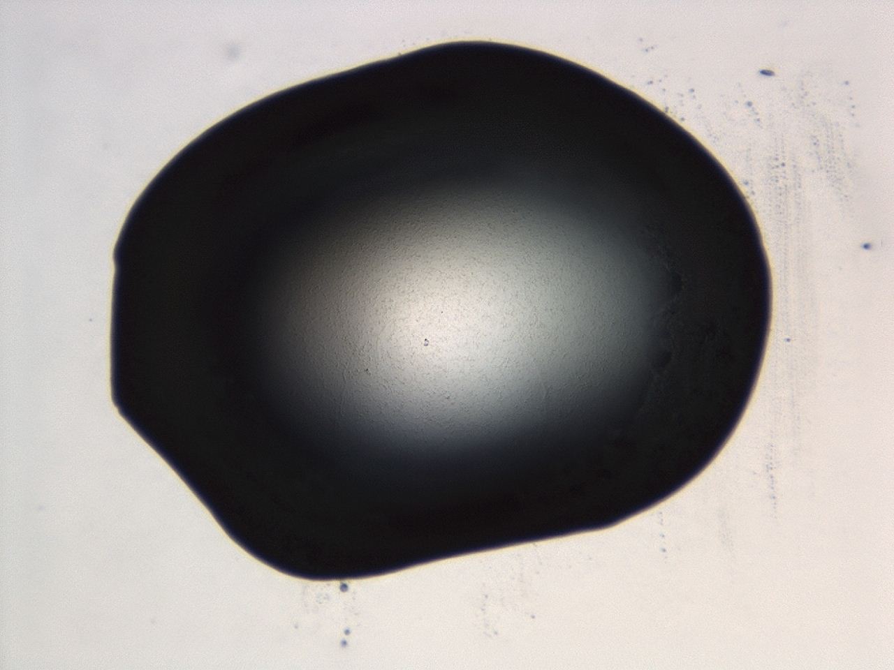 04ez_C6_ImagerDefaults_3.jpg
