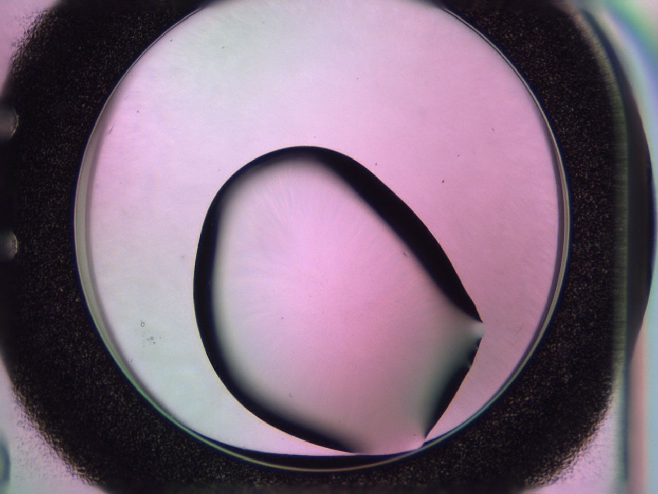 0172_E3_ImagerDefaults_0.jpg
