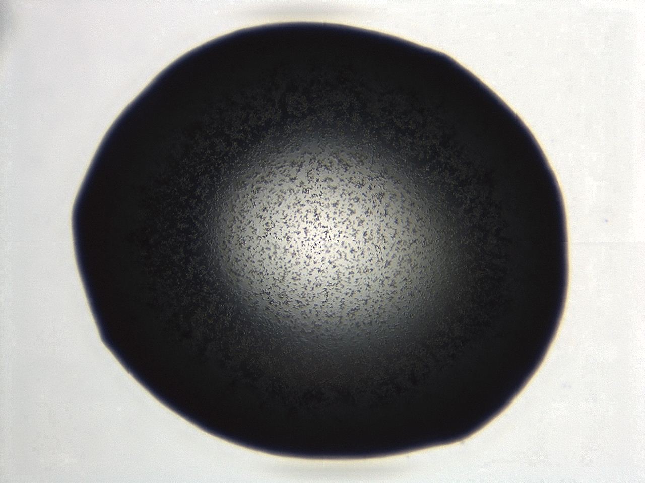 04ez_A12_ImagerDefaults_3.jpg