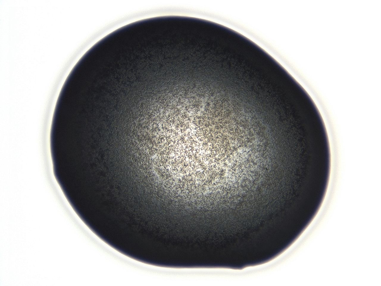 04ez_C8_ImagerDefaults_3.jpg