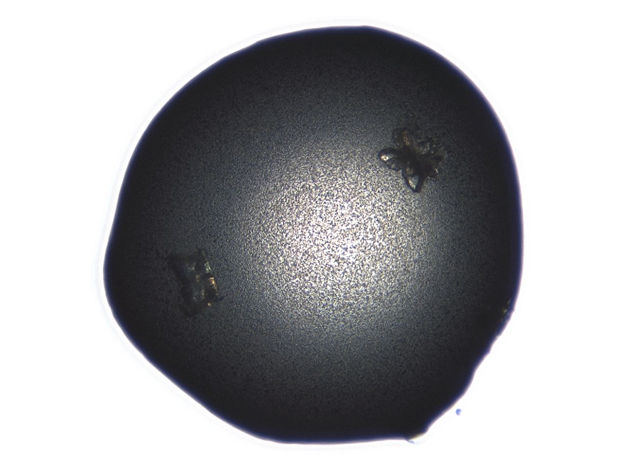 04ez_D10_ImagerDefaults_3.jpg