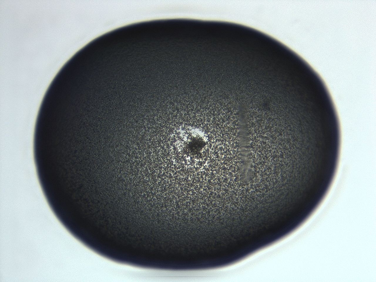 04ez_E1_ImagerDefaults_3.jpg