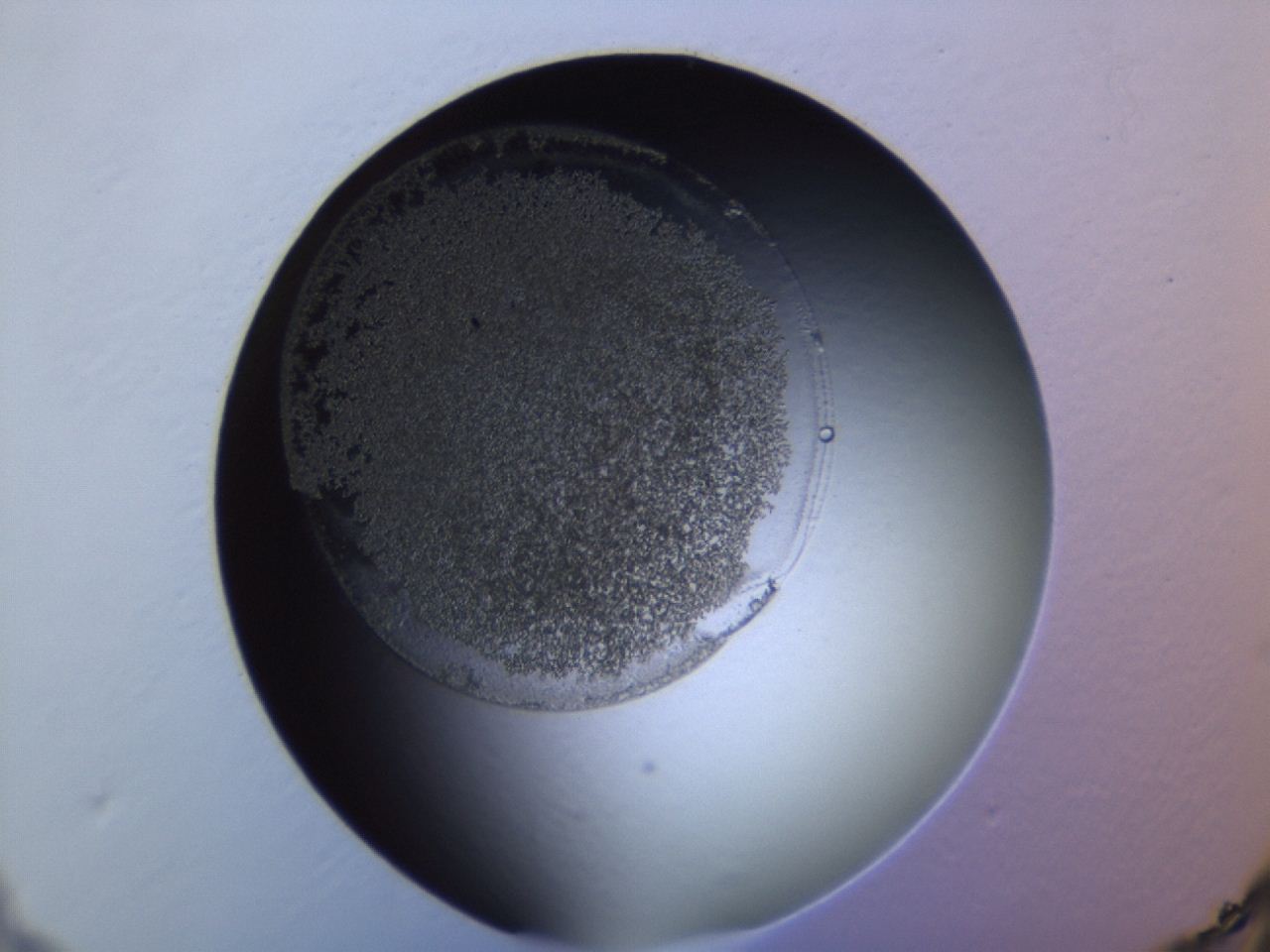04ez_E2_ImagerDefaults_3.jpg