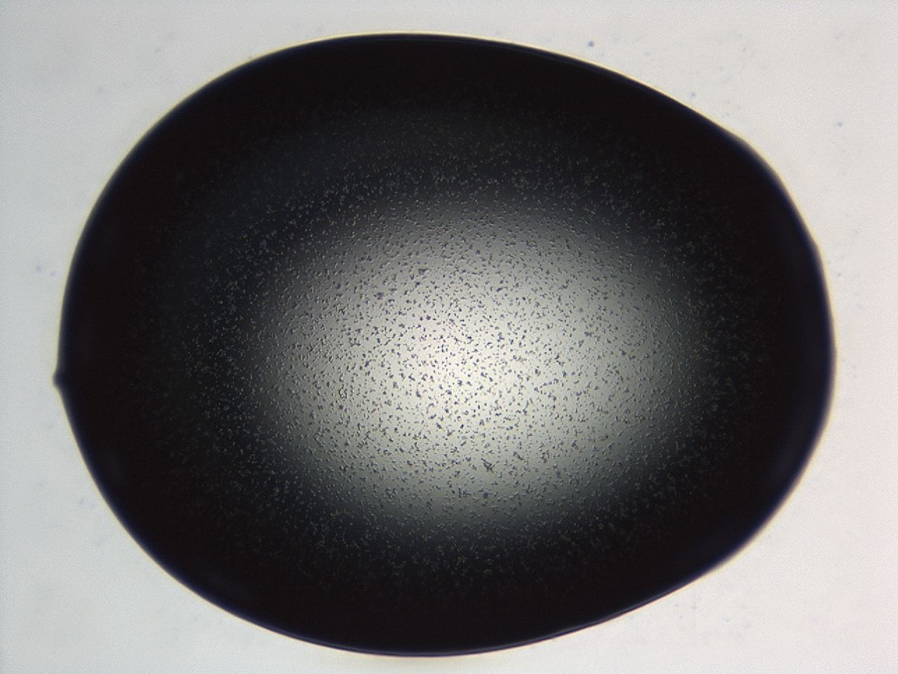 04ez_E3_ImagerDefaults_3.jpg