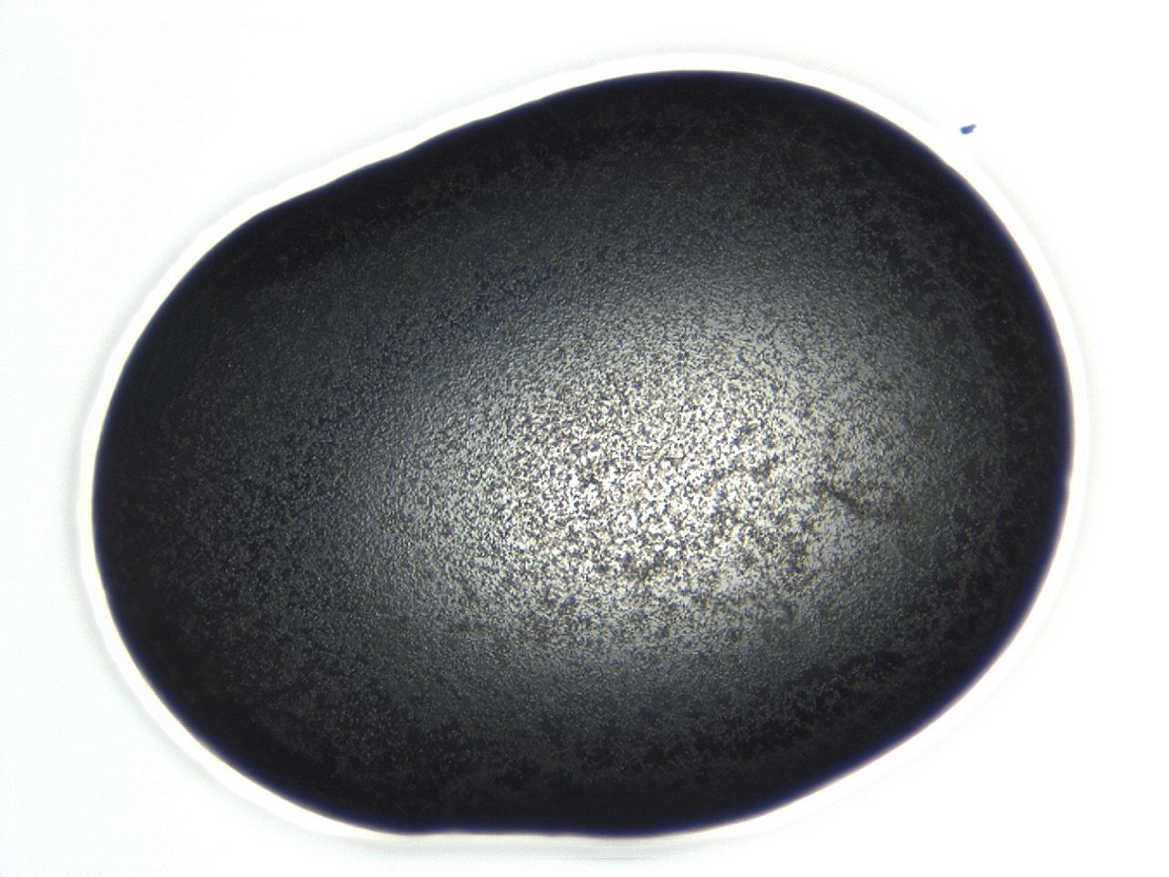04ez_E5_ImagerDefaults_3.jpg