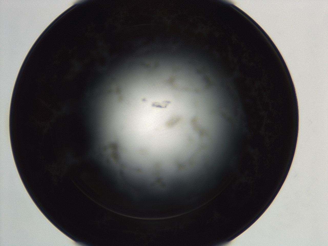 04ez_C12_ImagerDefaults_3.jpg