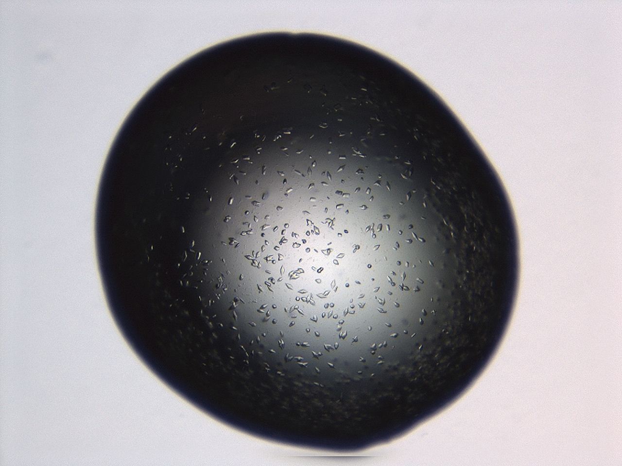 04ez_D2_ImagerDefaults_9.jpg