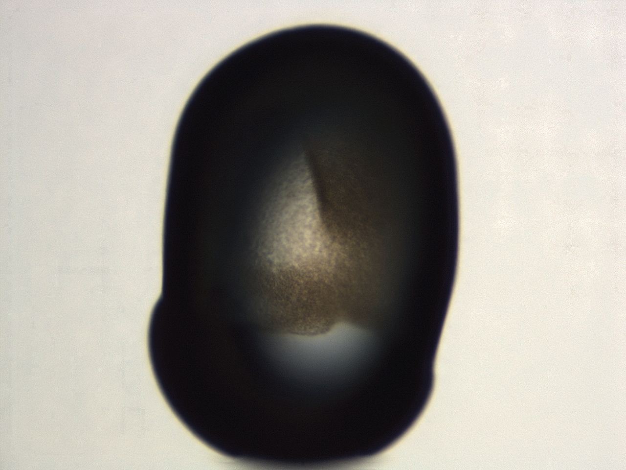 04ez_E11_ImagerDefaults_3.jpg
