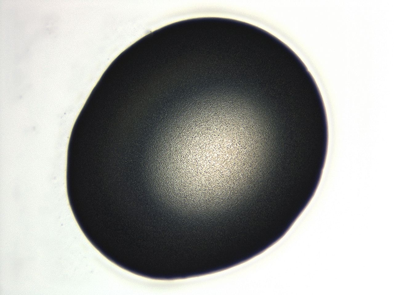 04ez_F4_ImagerDefaults_3.jpg