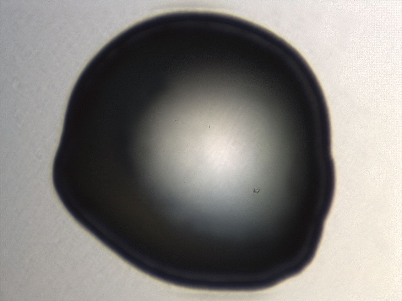 04ez_F11_ImagerDefaults_0.jpg