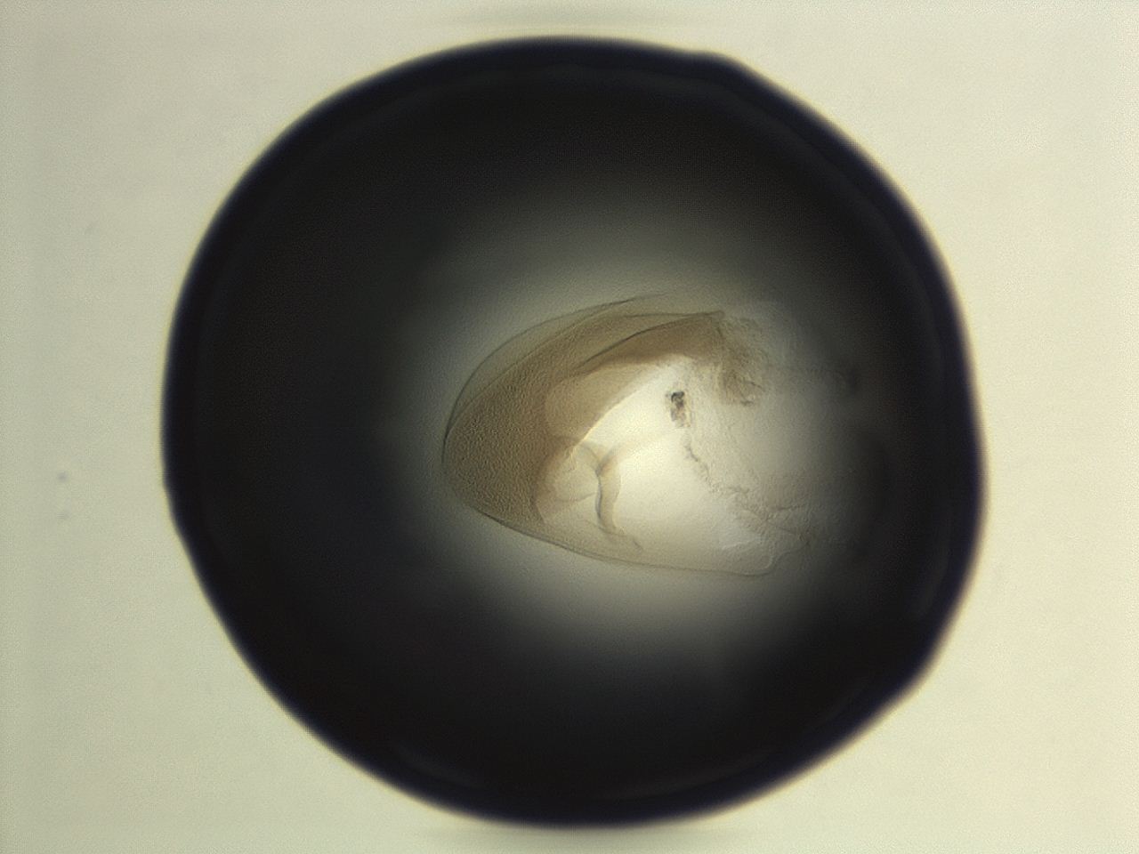 04ez_G10_ImagerDefaults_3.jpg