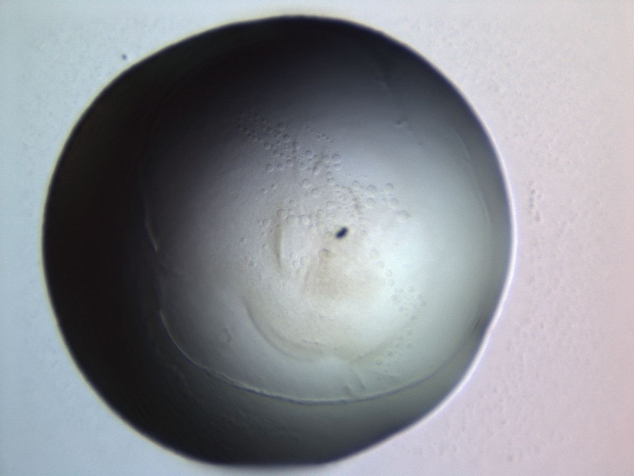 04ez_G11_ImagerDefaults_3.jpg