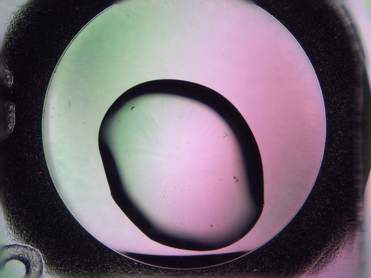 0172_G12_ImagerDefaults_0.jpg