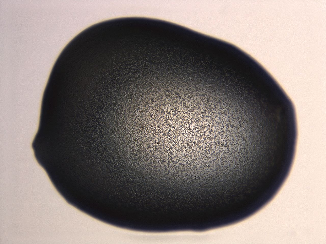 04ez_H6_ImagerDefaults_3.jpg