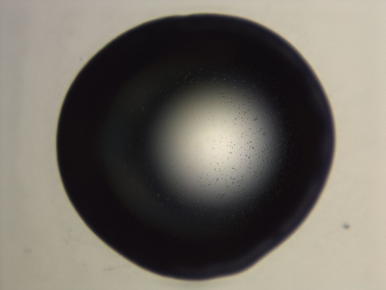 04ez_H10_ImagerDefaults_0.jpg